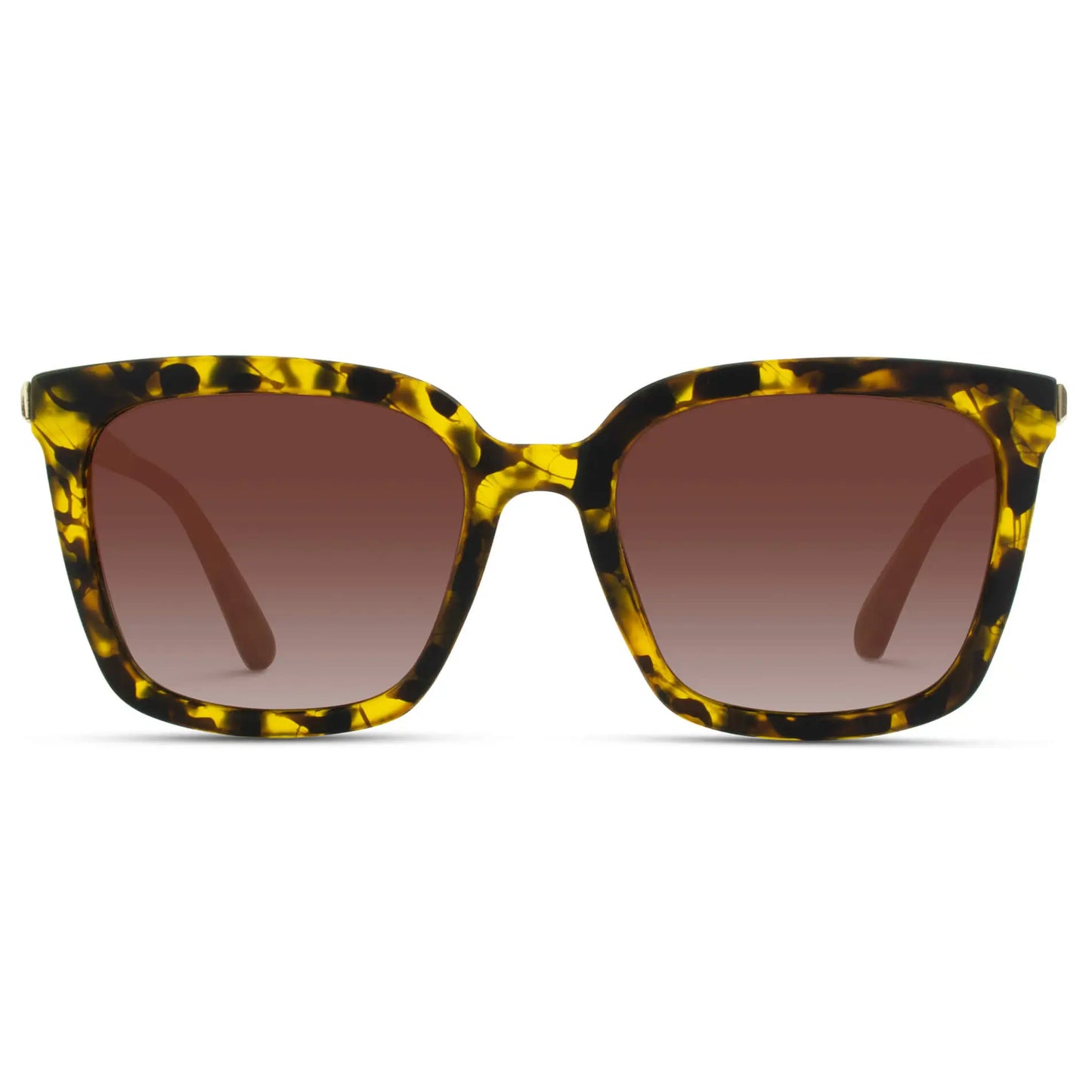 Madison | Polarized
