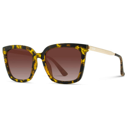 Madison | Polarized