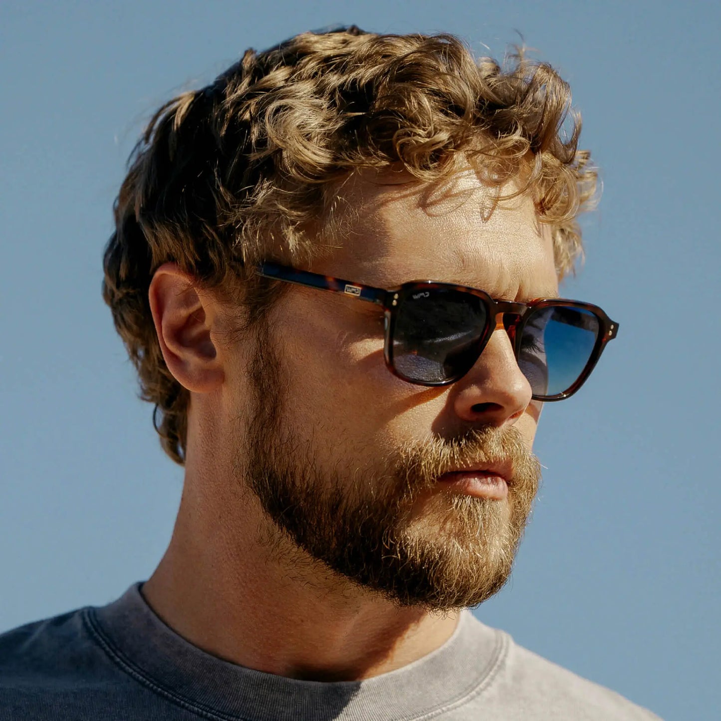 Francis | Polarized