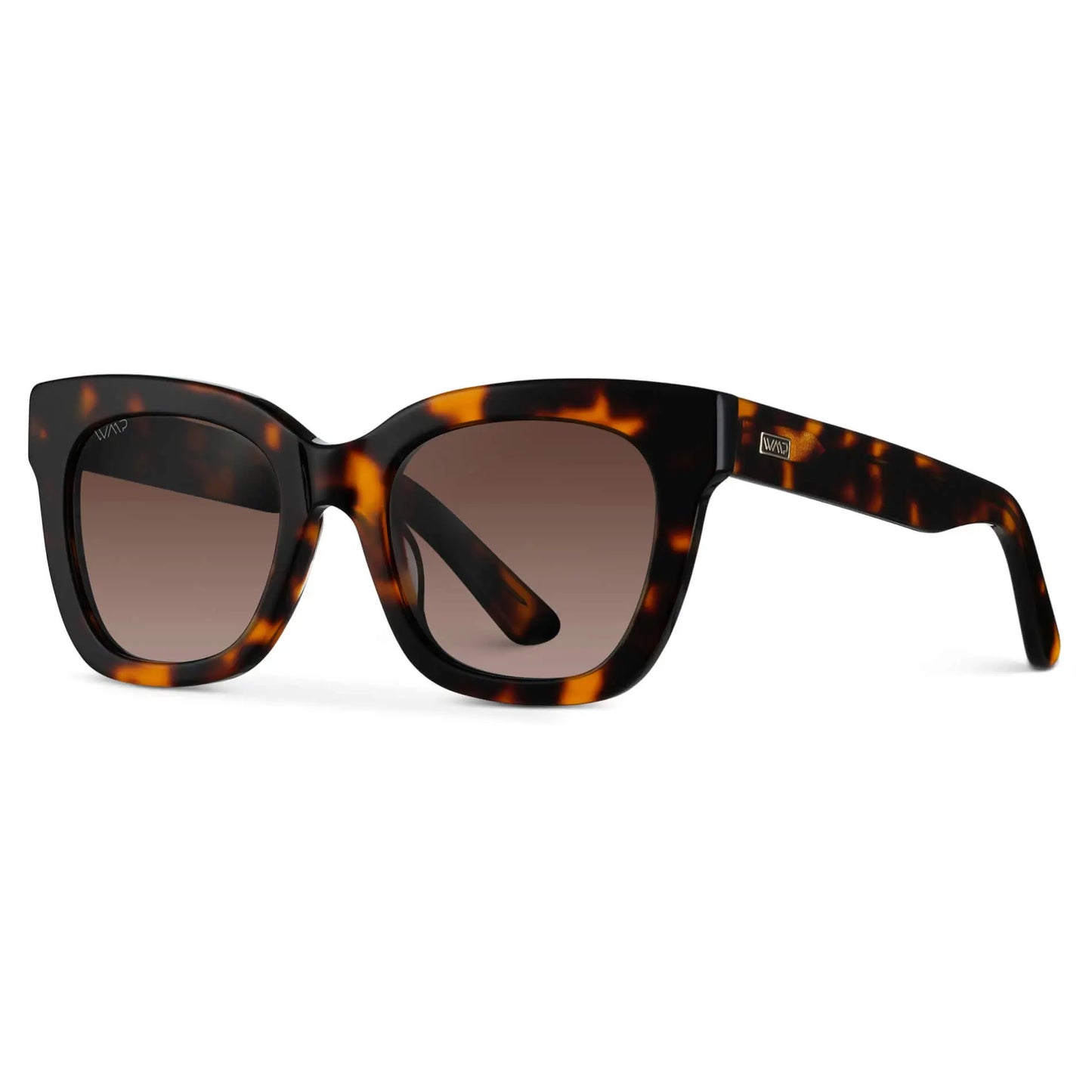 Stormi | Polarized