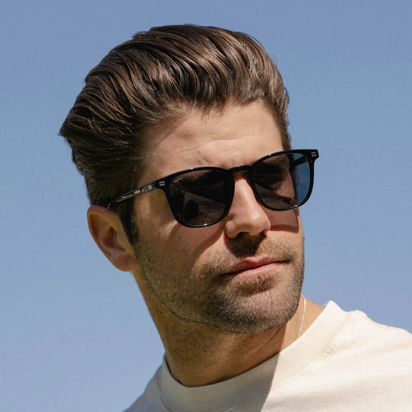 Nick | Polarized